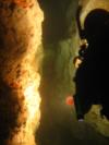 Cavern Diving in the Devil’s Den- Williston, Florida