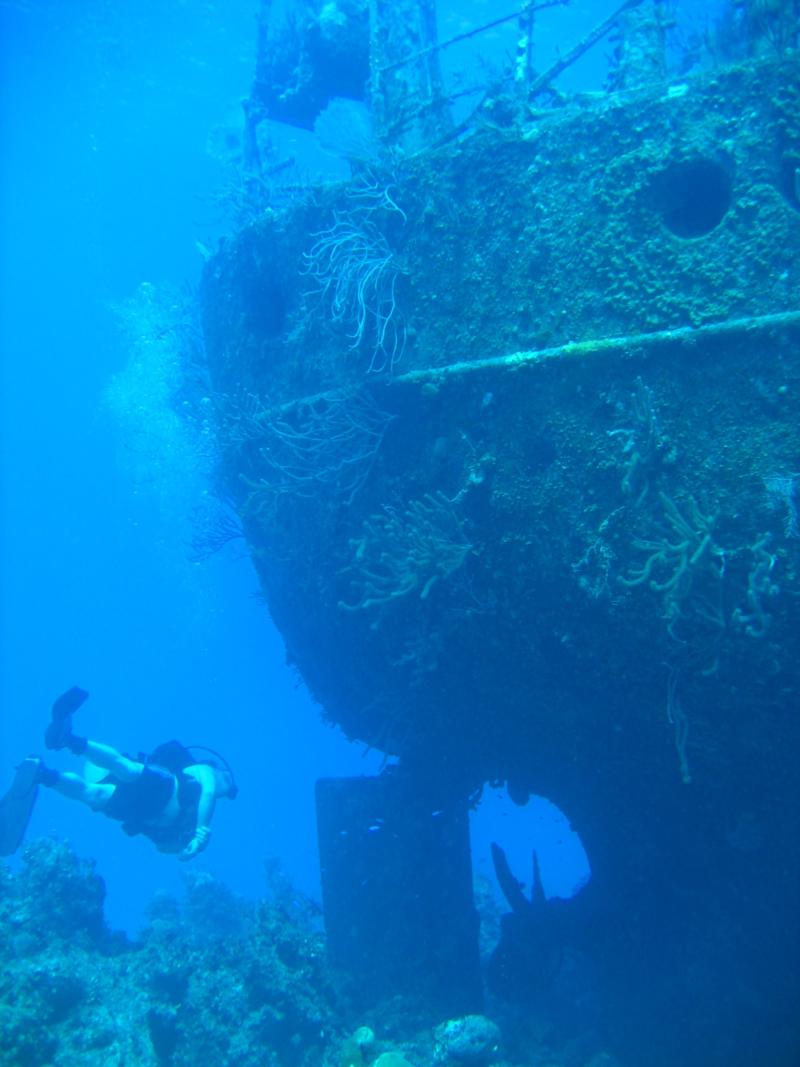 Rudder of the Willaurie- Nassau, Bahamas