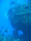 Rudder of the Willaurie- Nassau, Bahamas