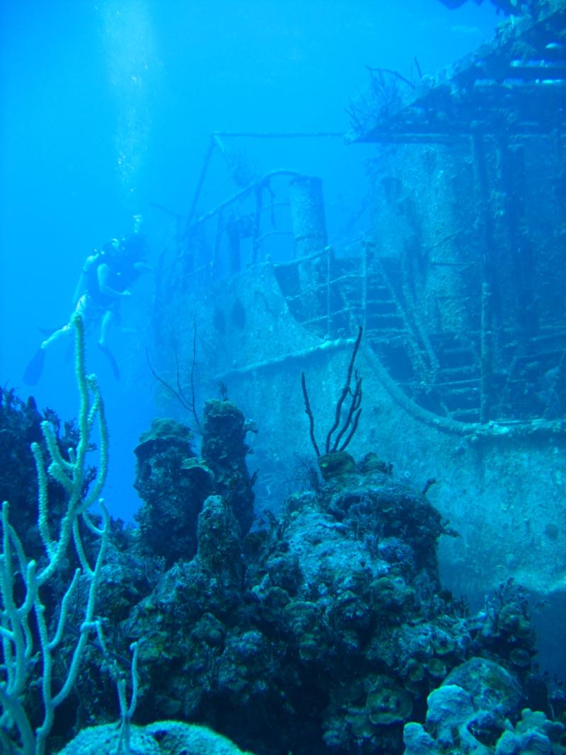 Diving the Willaurie- Nassau, Bahamas