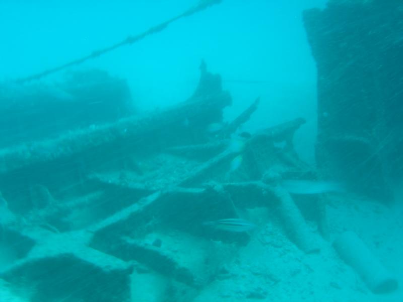 United Caribbean- Pompano Beach, Florida