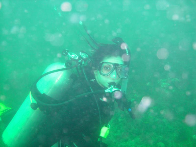 Michelle -WPB-dive