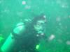 Michelle -WPB-dive