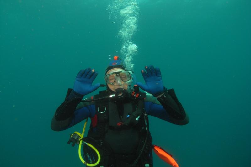nice dive