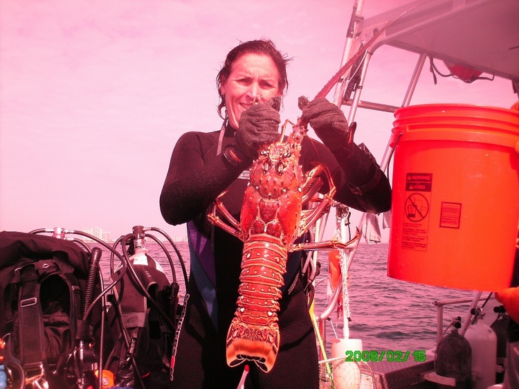 Huge lobster