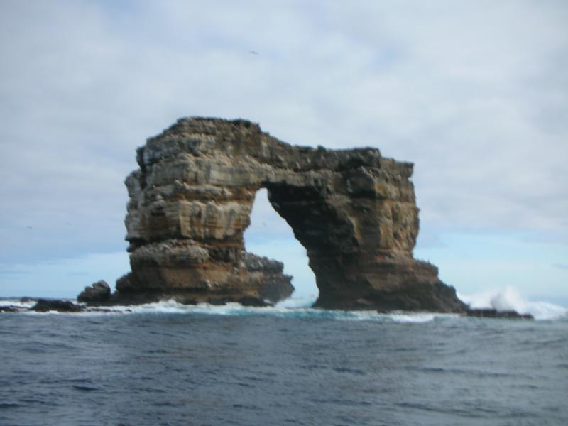 Darwin Arch