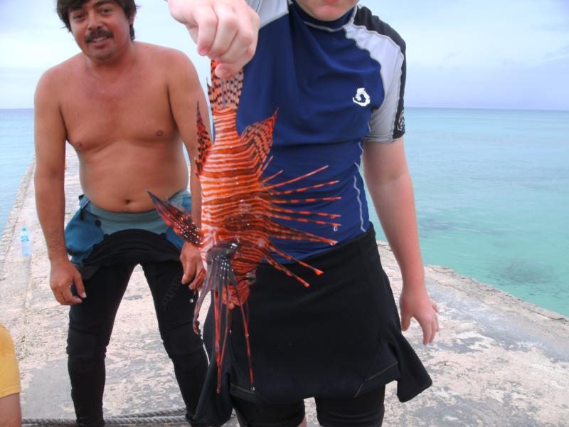 Dead Lion Fish Cozumel