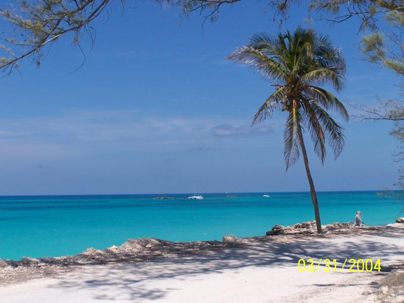 Paradise Point