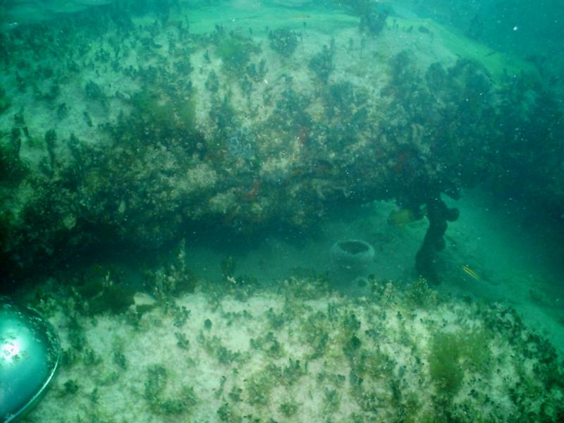 Bimini Stones (with a grill lid bottom left hand corner)