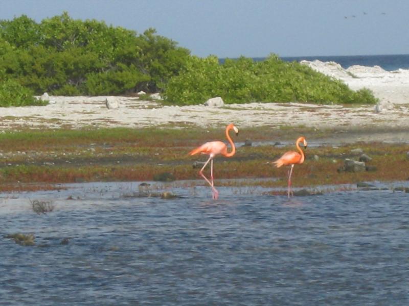 Bonaire