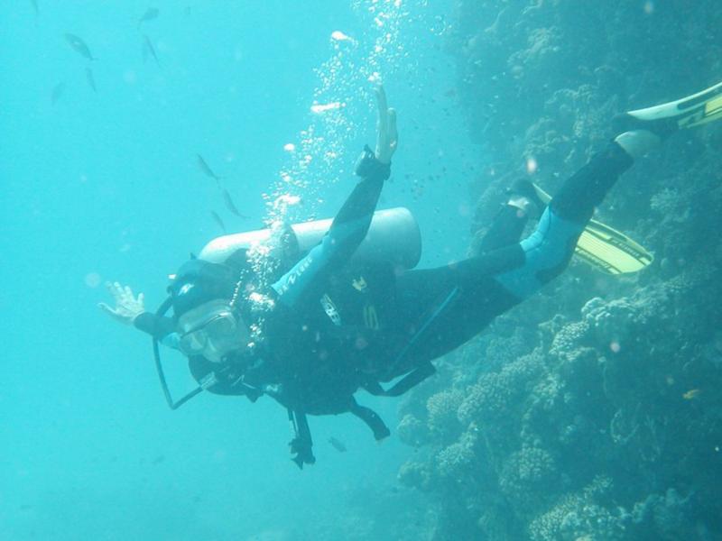 The Beatiful Red Sea