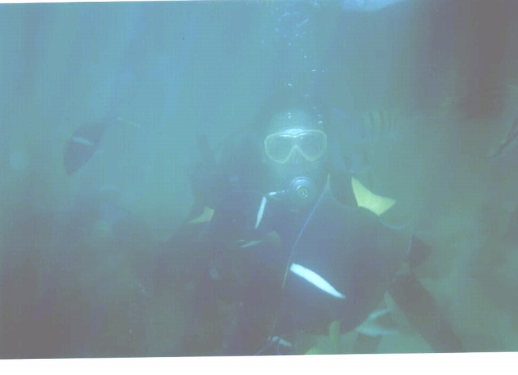 Diving Cabo San Lucas