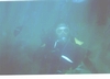 Diving Cabo San Lucas