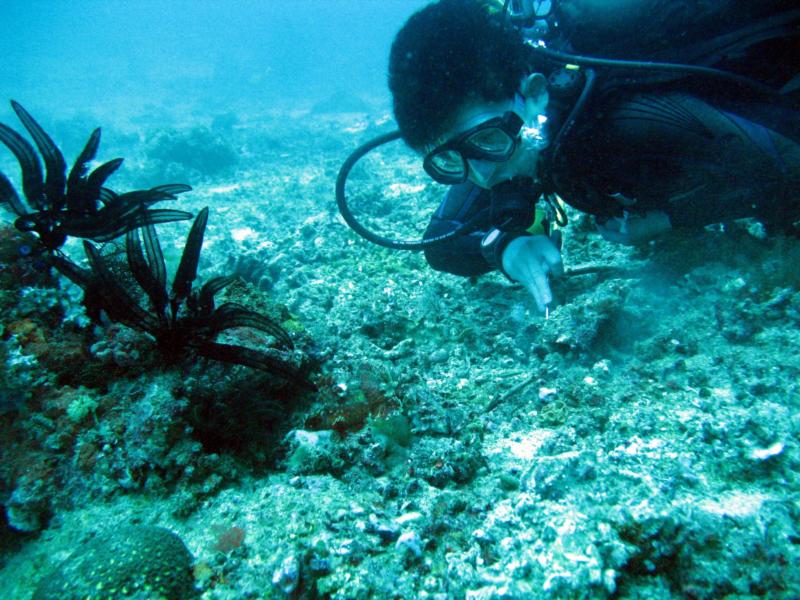 Me underwater