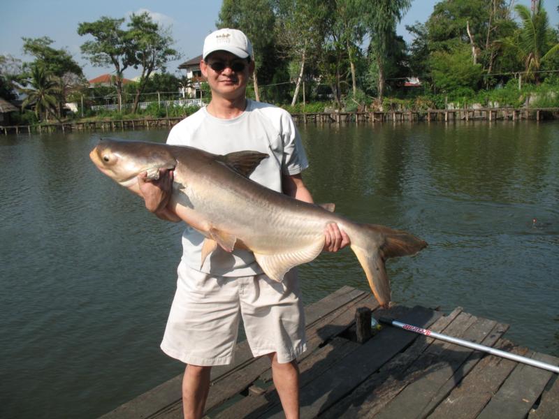 Me catching a giant mekong catfish - Bangkok 2007