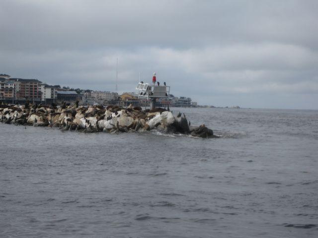 Harbor Guards