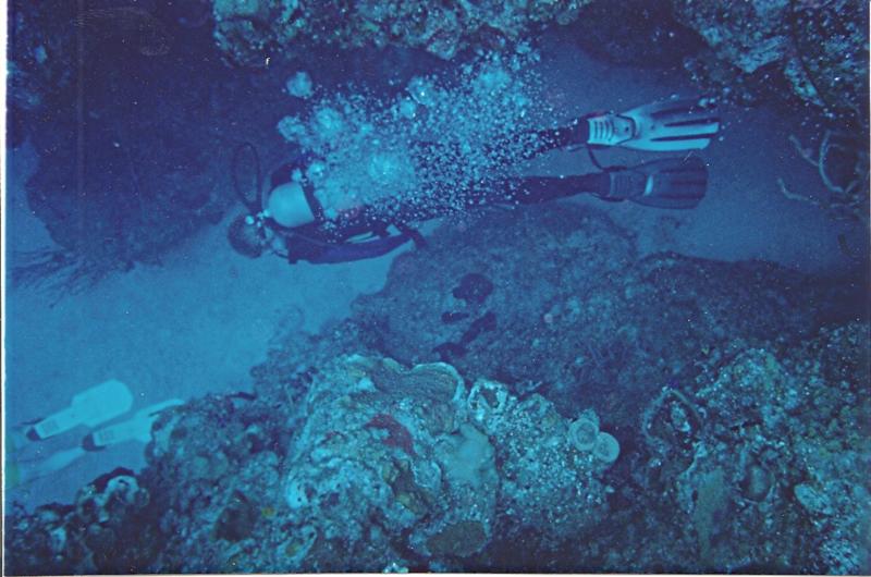 Roatan dive 2002