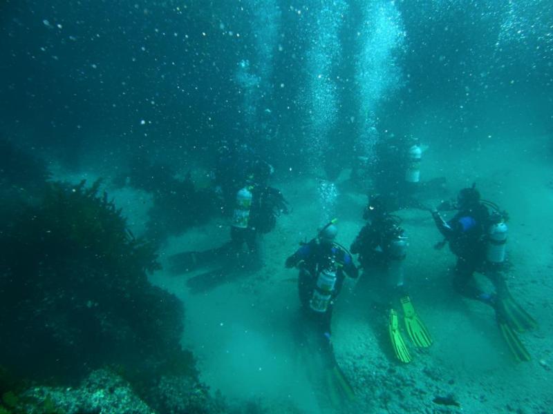 Coral Bay Rottnest Island - OW Course