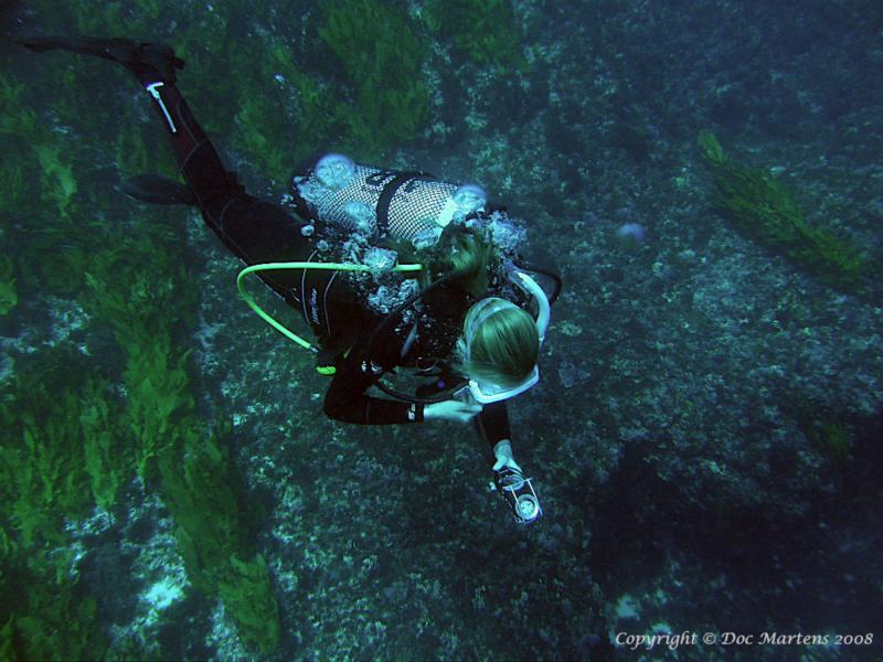 My Dive Buddy at Horseshoe Reef Rottnest Island