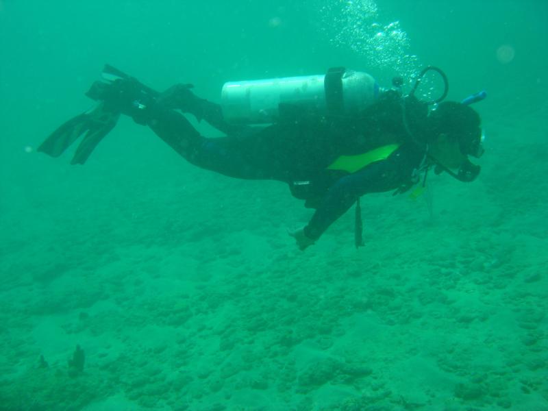 ME LOOKING FOR LOBSTERS