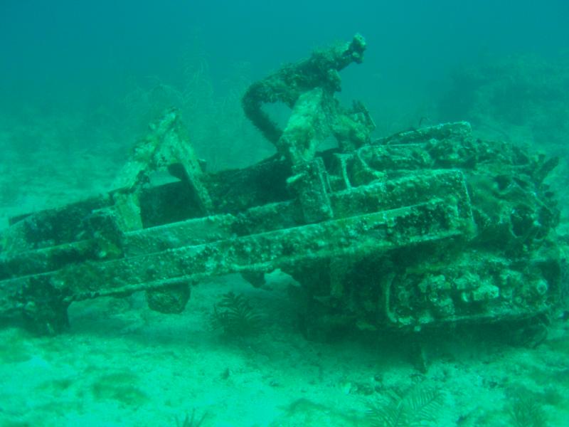 V-8 engine now coral