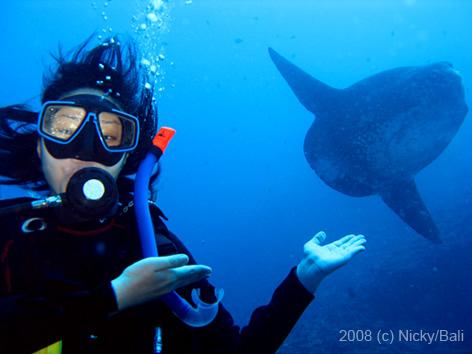 Diver Showing the Mola