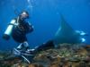 Diver Showing the Manta