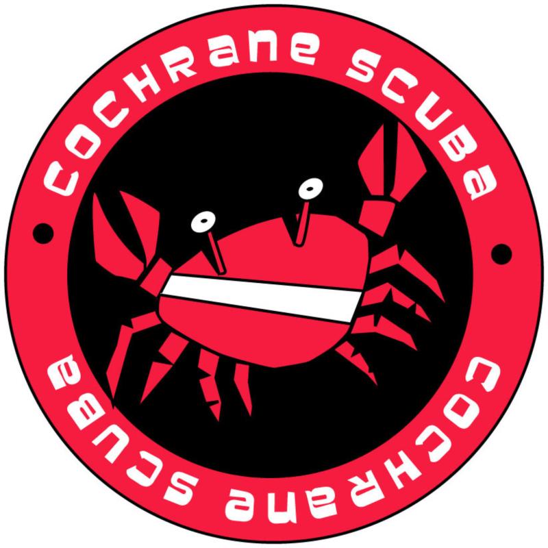 My company logo