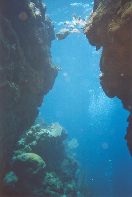 Swim through in Roatan