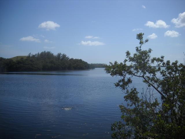 Lagoon in Key West