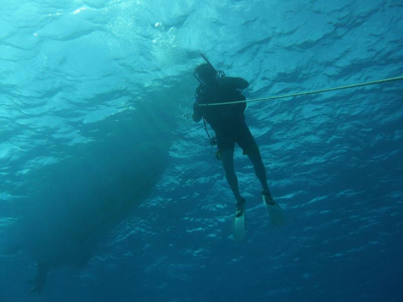 Is this way down? Rarotonga