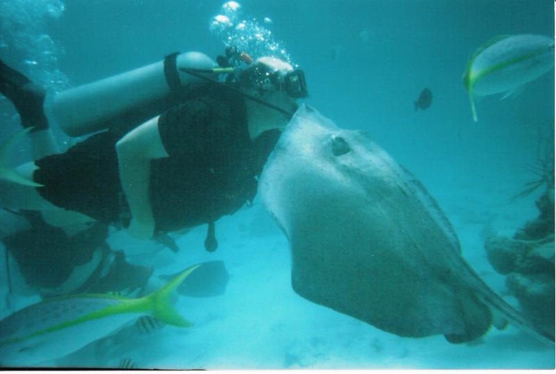 Making out with a StingRay
