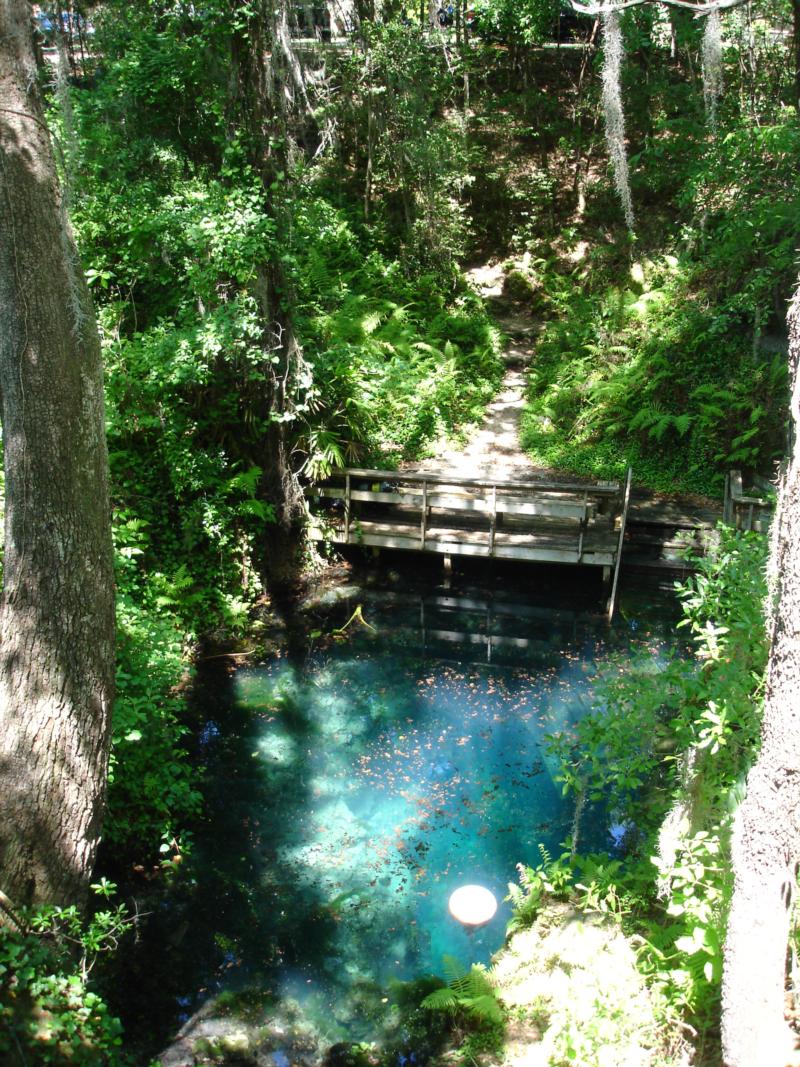 Paradise Springs Entry