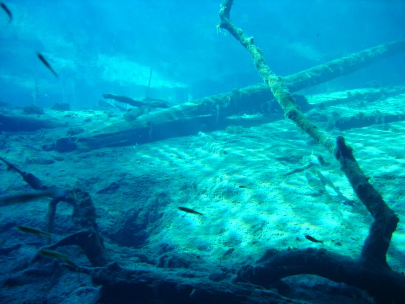 Blue Grotto