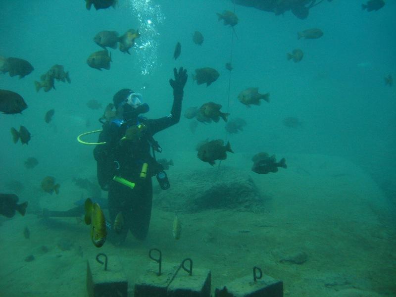 me- Vortex Springs New Years Dive 2009