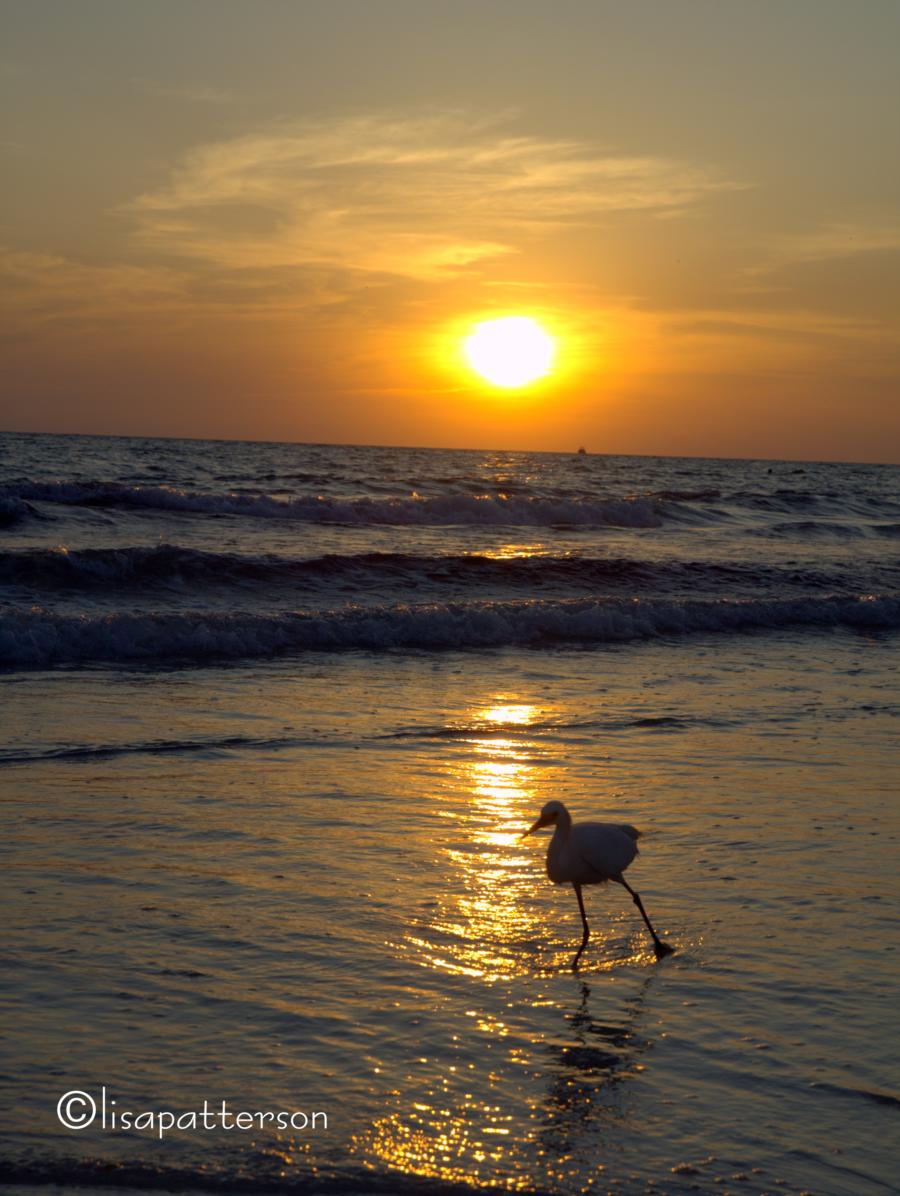 Panama City Beach FL