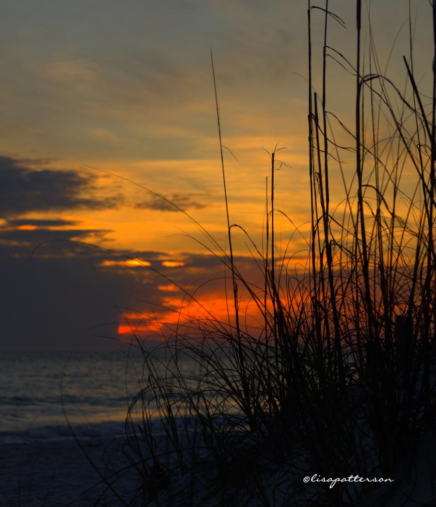 sunset in PCB