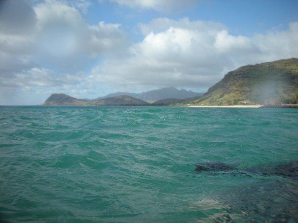 The view above the water-Electric Beach