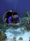 Diving  Bonaire