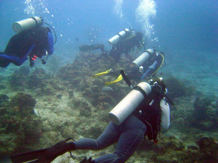 Cozumel Gang