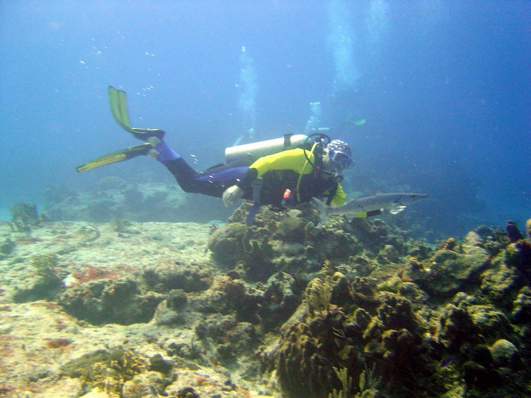 Chasing a cuda in Cozumel