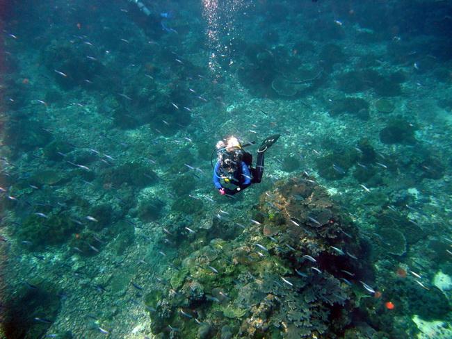 Crystal Bay, Bali