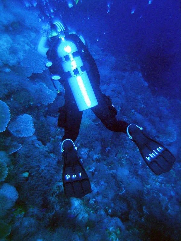 Cyclone Reef, PNG