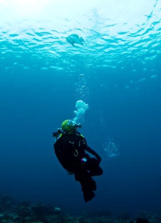 Sardine Reef, Raja Ampat