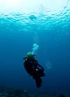 Sardine Reef, Raja Ampat