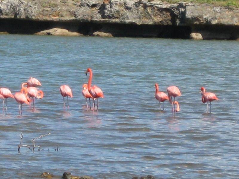 Bonaire