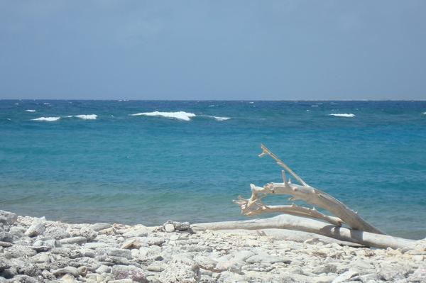 Bonaire 08