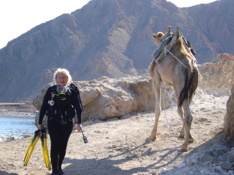 Diving with Camels !