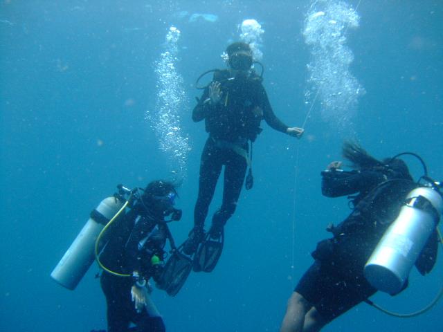 Theia divers August 2011