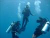 Theia divers August 2011